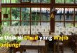 Cafe Unik di Ubud yang Wajib Dikunjungi