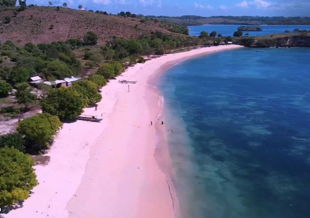 Pantai Tangsi Pantai Pink Di Lombok Literaturnegeri Id